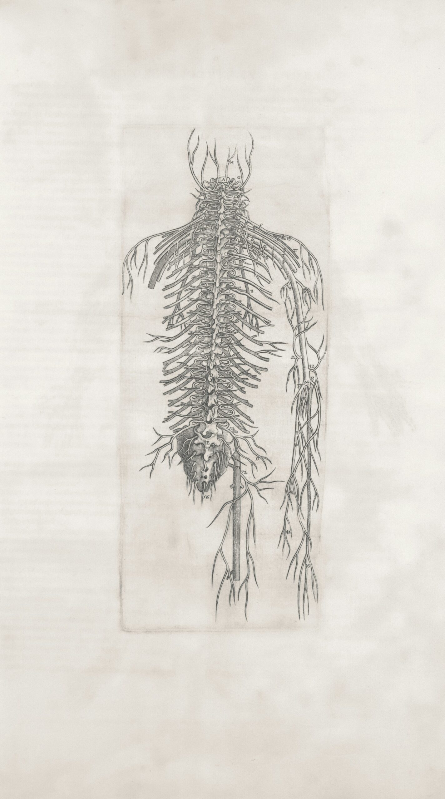 Why Spinal Cord Injury Victims Take Legal Action